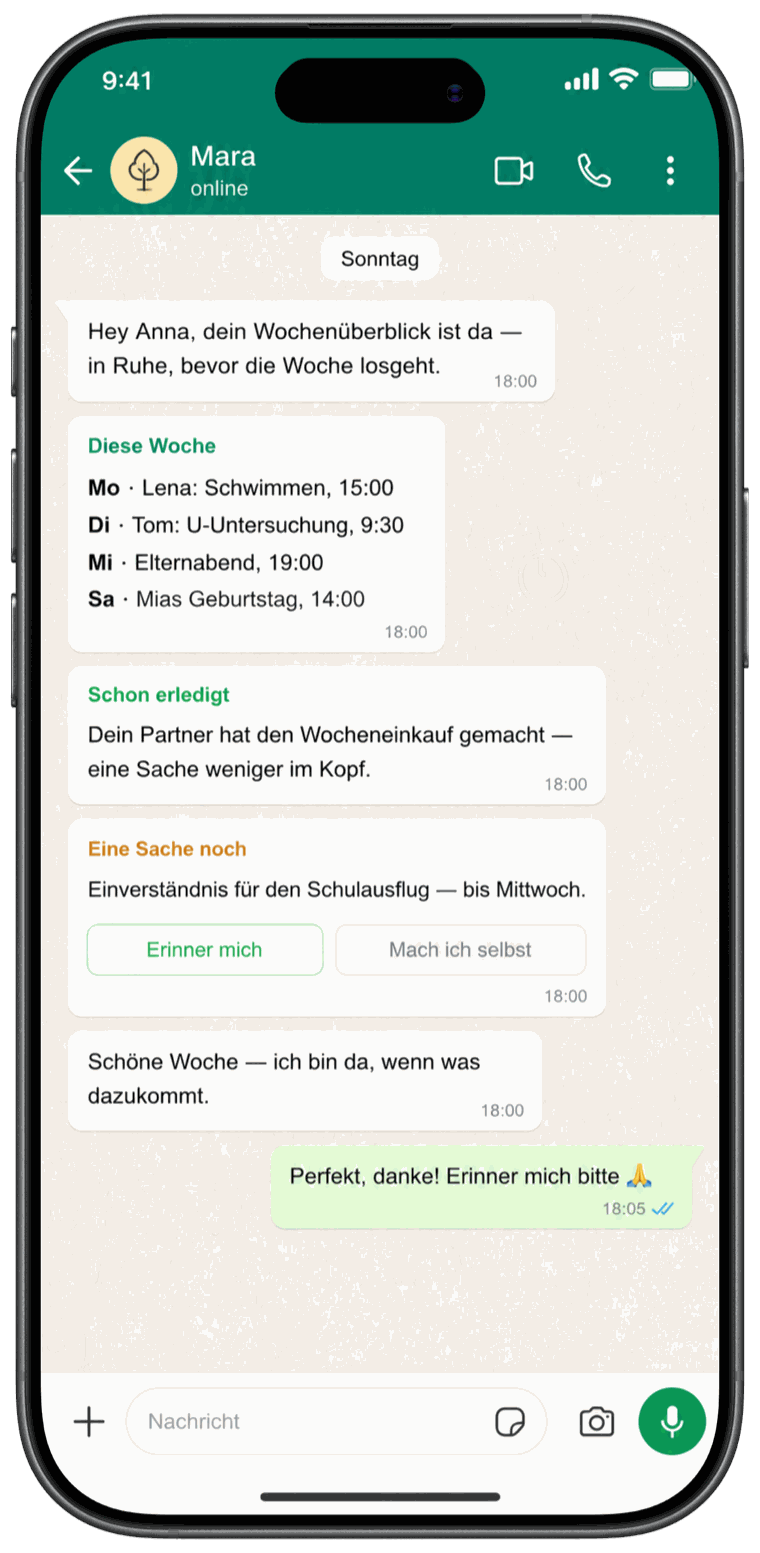WhatsApp-Chat mit Luca: Sonntags-Wochenüberblick und erledigte Aufgaben des Partners